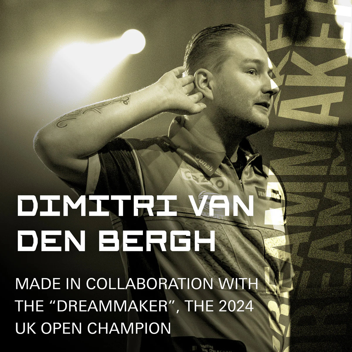 Dimitri Van den Bergh No2 K-Flex One Piece Dart Flights