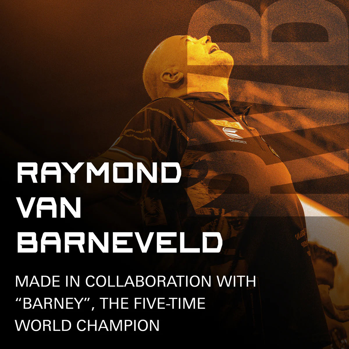Raymond van Barneveld No2 K-Flex One Piece Dart Flights